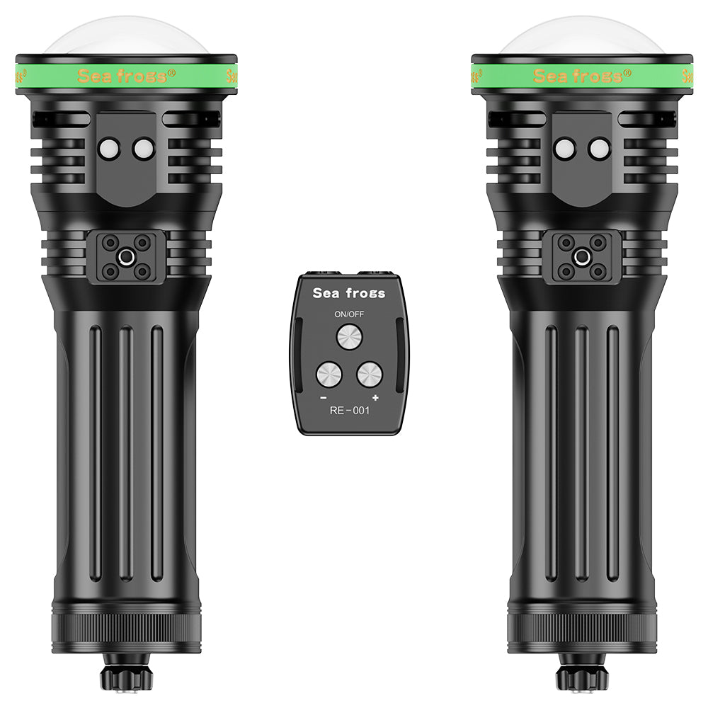 RE001 Remote Control