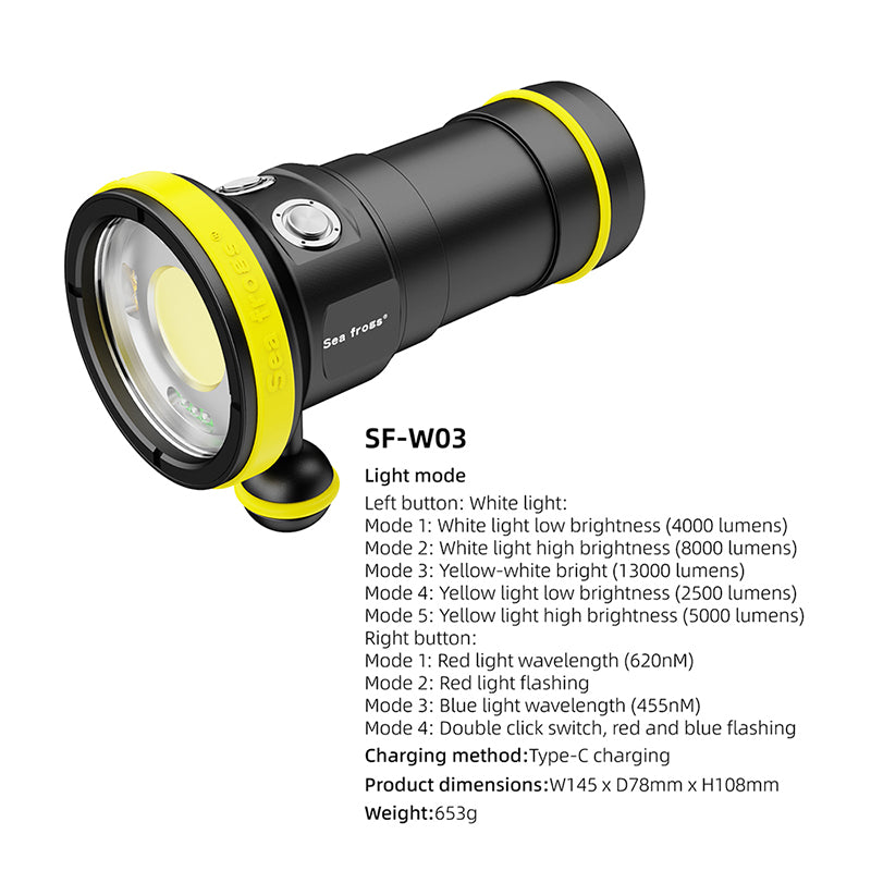 Diving Light W03