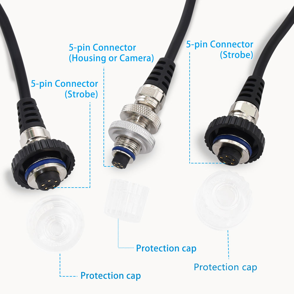 Dual 5-Pin Sync Cord