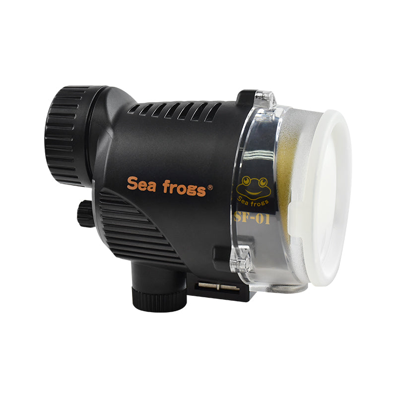 Strobe SF-01