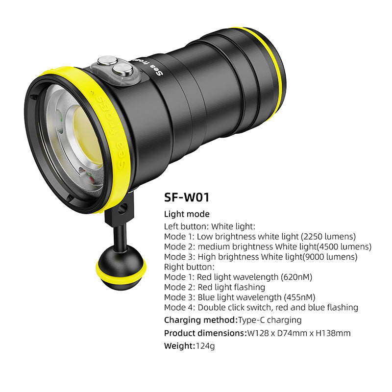 Diving Light W01
