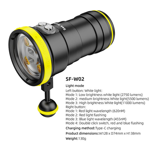 Diving Light W02