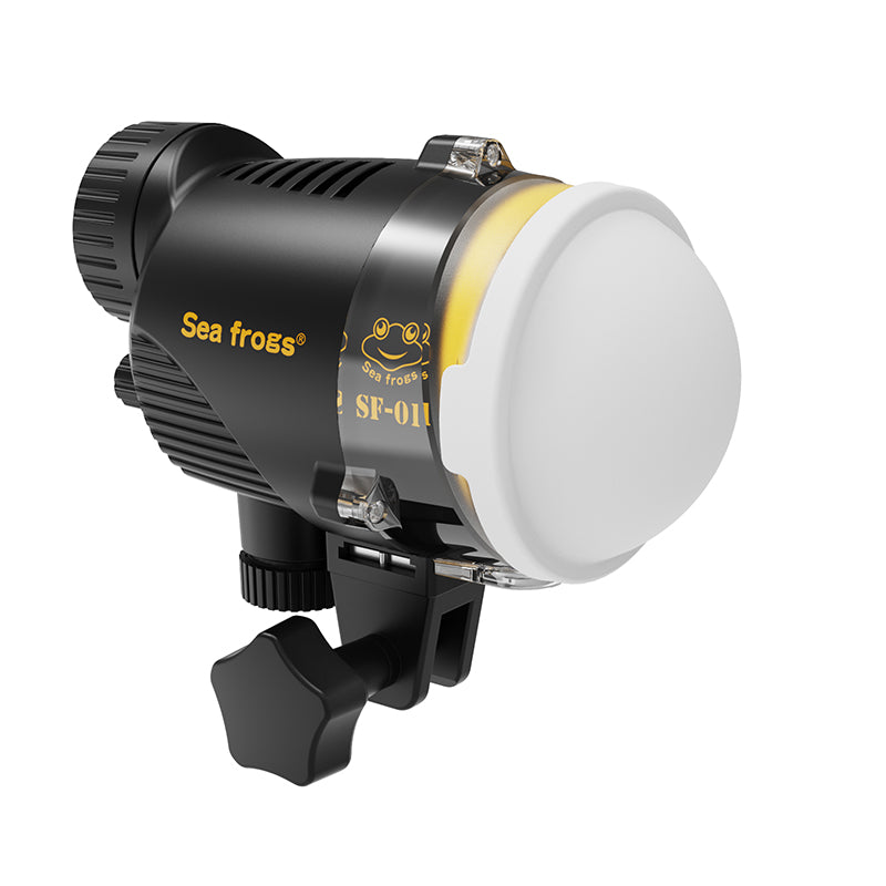 Strobe SF-01