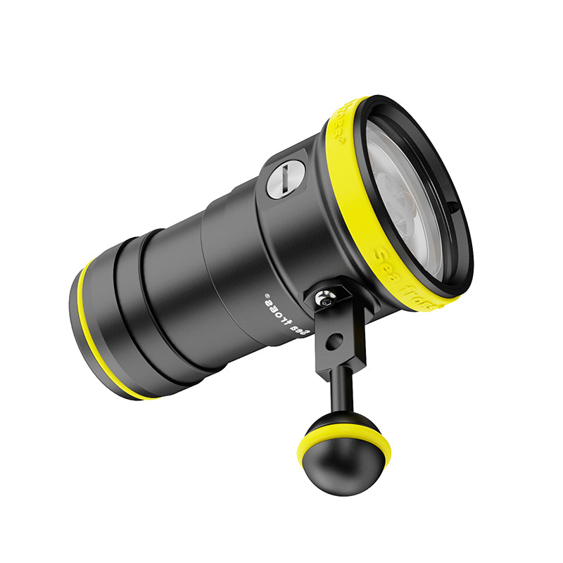 Diving Light W02