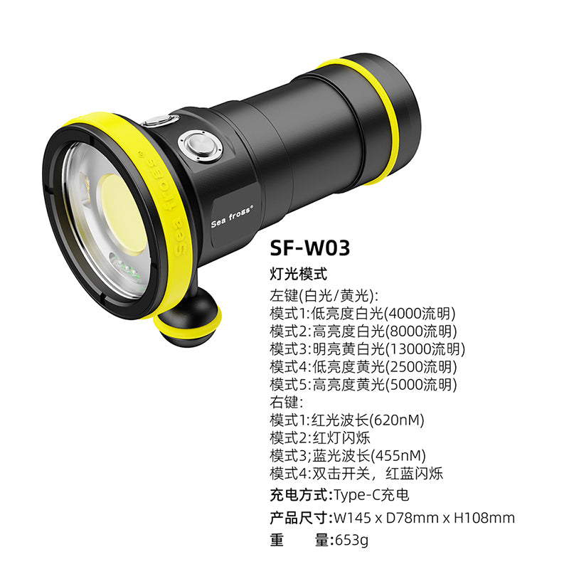 Diving Light W03